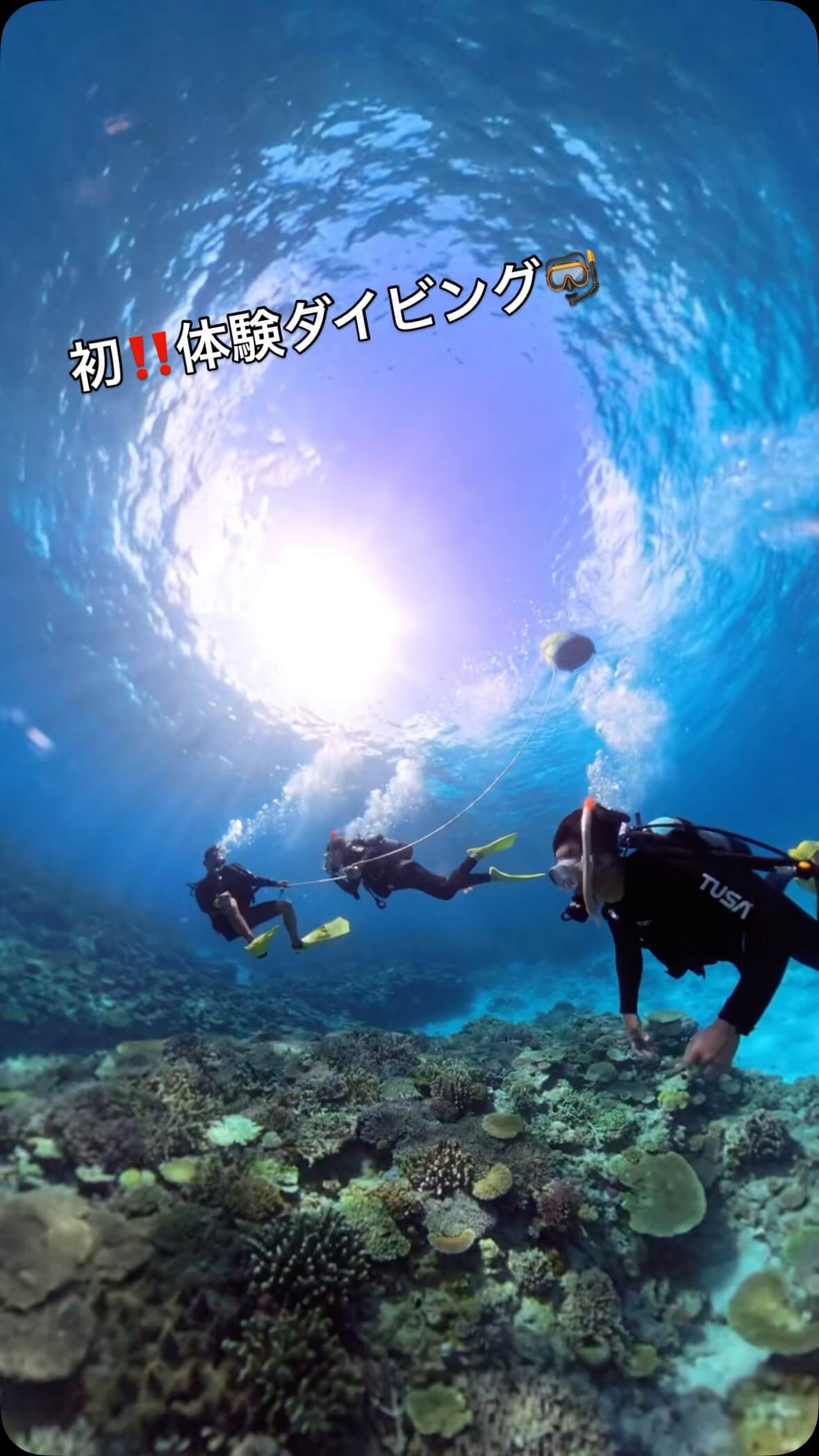 当店の大人気ツアー『体験ダイビング&シュノーケリング🤿』10歳以上〜資格不要です‼️360度カメラで撮影する水中世界は幻想的でステキ💓
