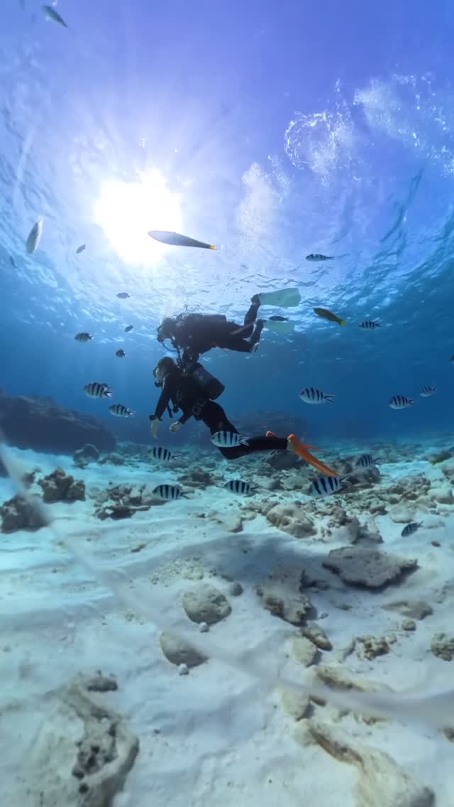 ダイビング人生初のお客さんです！魚も寄ってきて、綺麗な動画たくさん撮れました😊